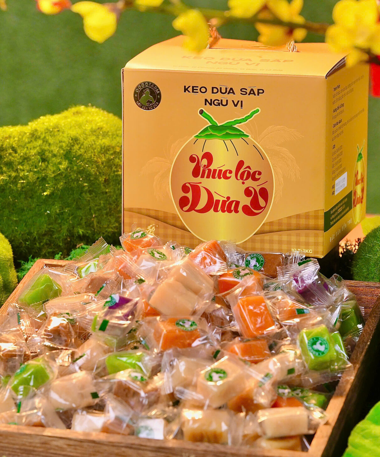 Hộp “Phúc Lộc Dừa Ý” Kẹo Dừa Sáp Ngũ Vị 1kg Tết 2026